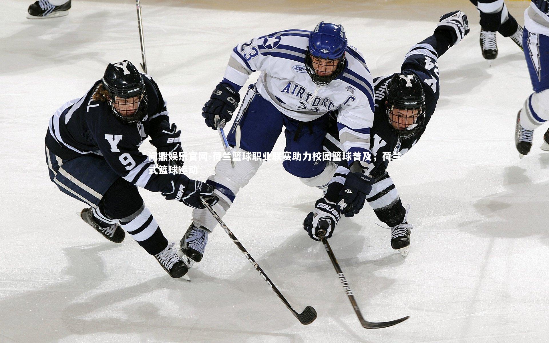 荷兰篮球职业联赛助力校园篮球普及,荷兰式篮球运动