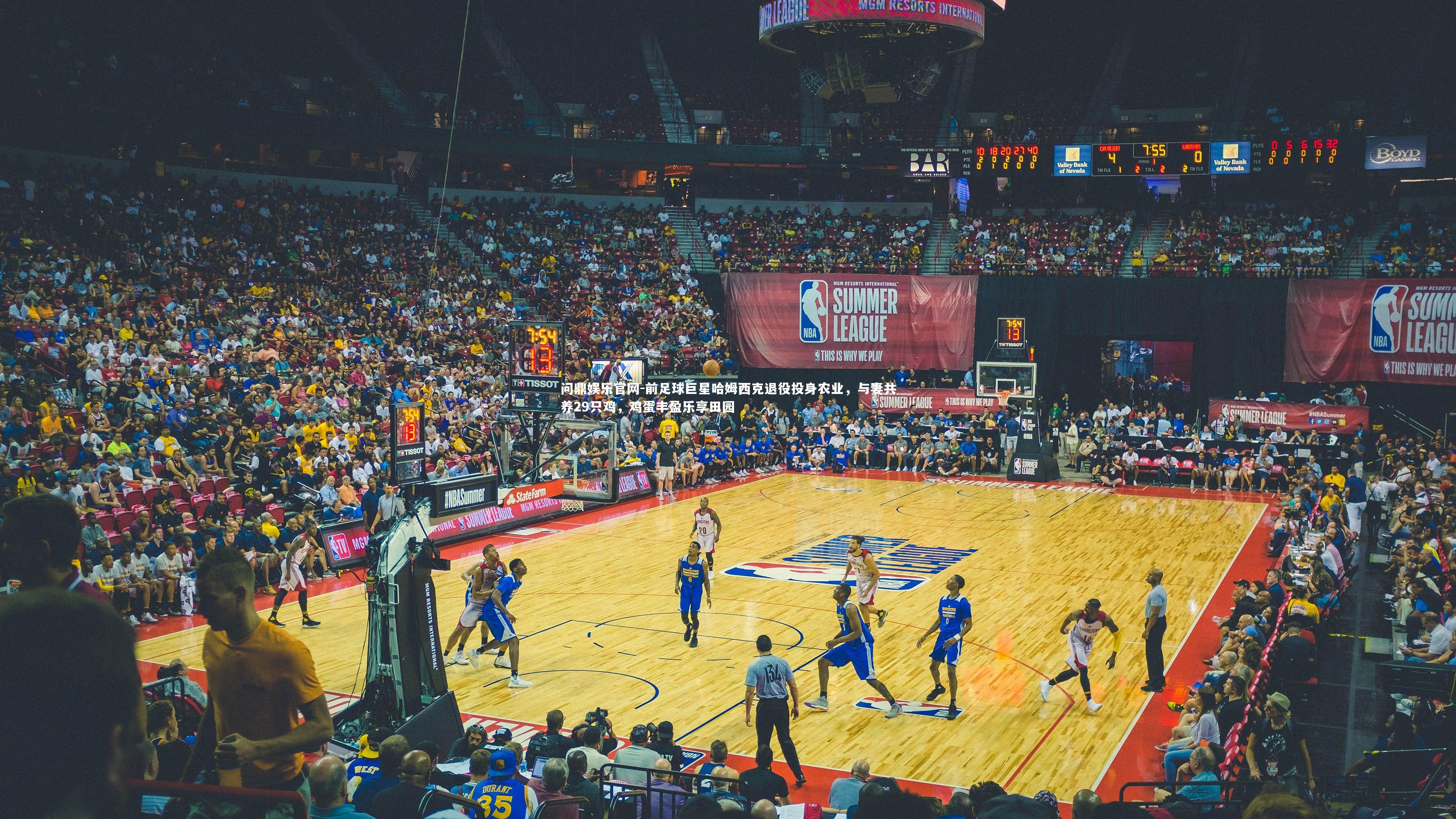 前足球巨星哈姆西克退役投身农业，与妻共养29只鸡，鸡蛋丰盈乐享田园